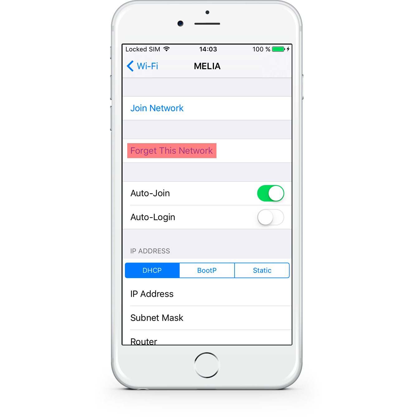 Option 2 - Erase the network to reestablish parameters